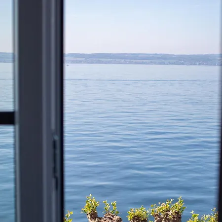 Zwovier * Meersburg